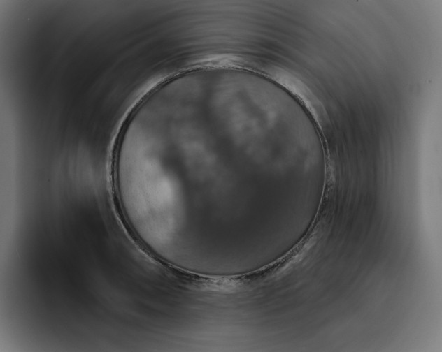 X0000093131090200710101054