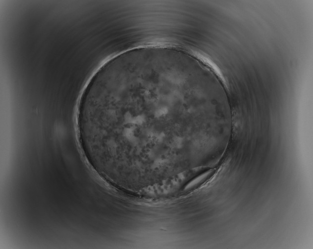 X0000093131091200710101054