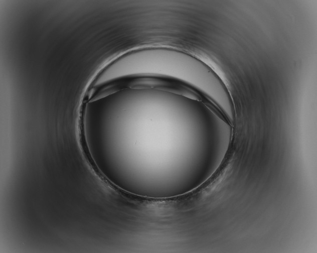 X0000093131093200710101054