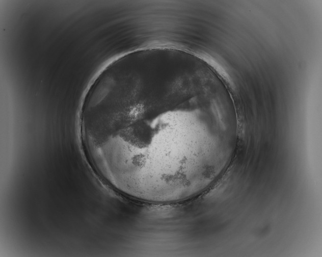 X0000093131094200710101054