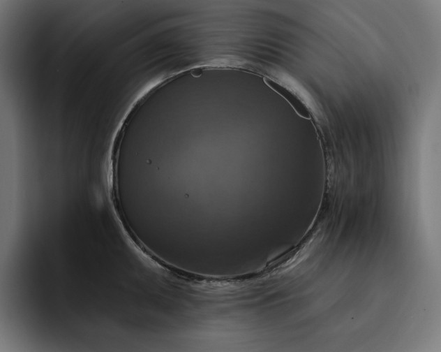 X0000093131095200710101054