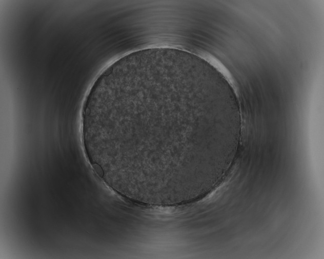 X0000093131096200710101054