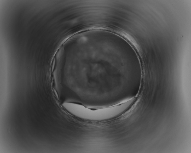 X0000093131097200710101054