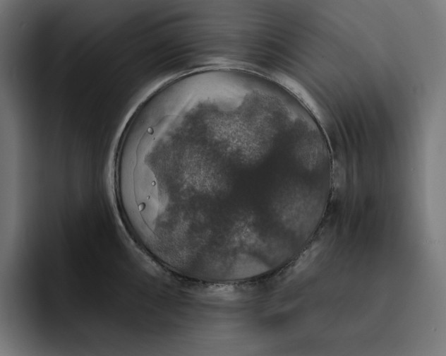 X0000093131098200710101054