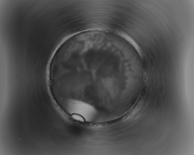 X0000093131099200710101054