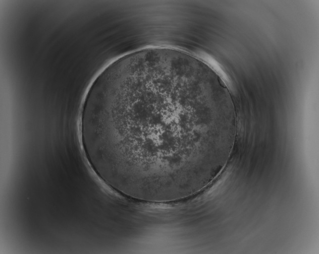 X0000093131100200710101054