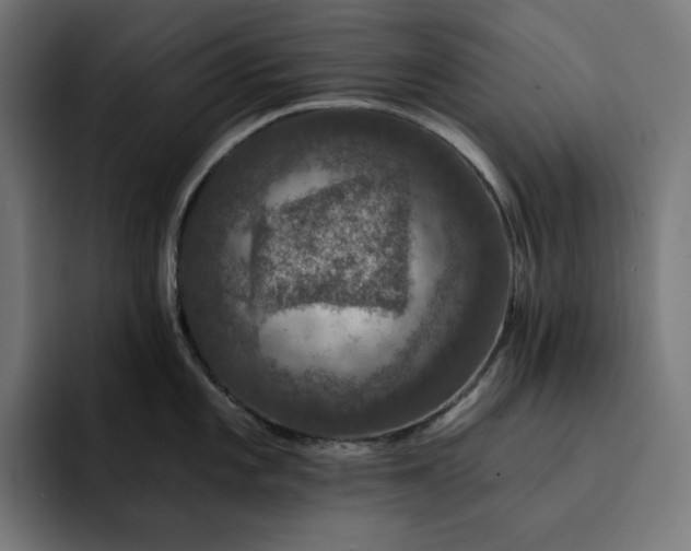 X0000093131101200710101054