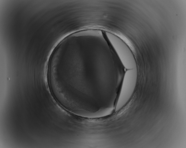 X0000093131102200710101054