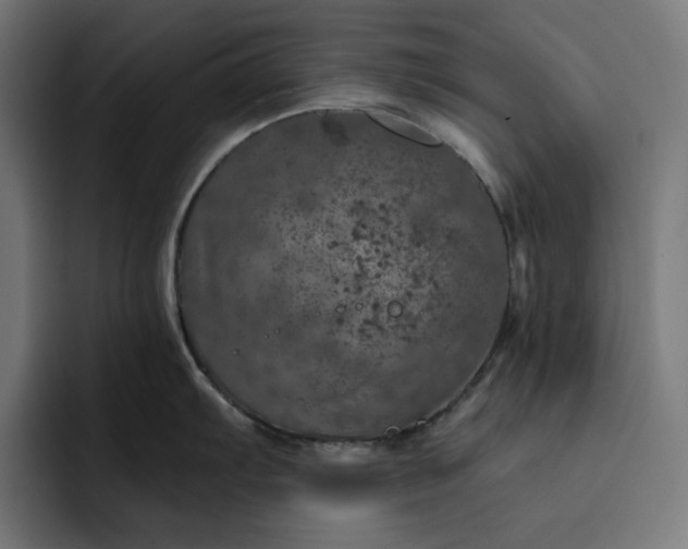 X0000093131103200710101054