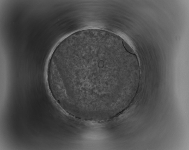 X0000093131104200710101054