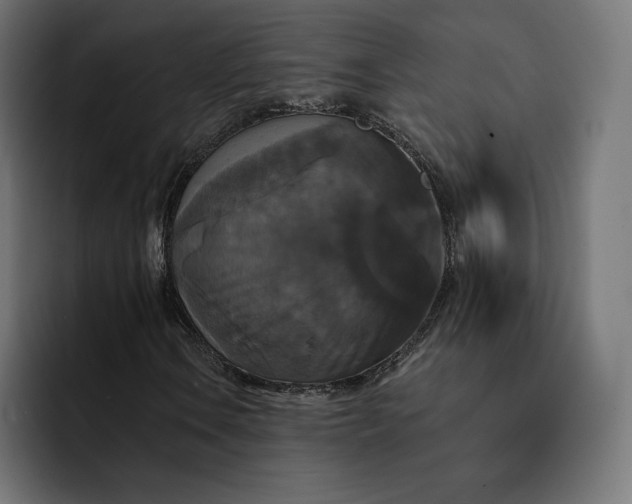 X0000093131106200710101054