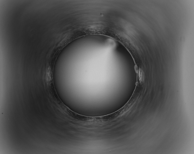 X0000093131107200710101054