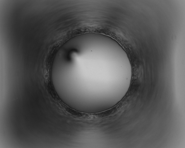 X0000093131109200710101054