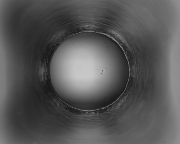 X0000093131111200710101054