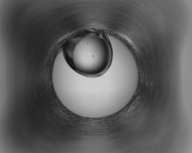 X0000093131112200710101054