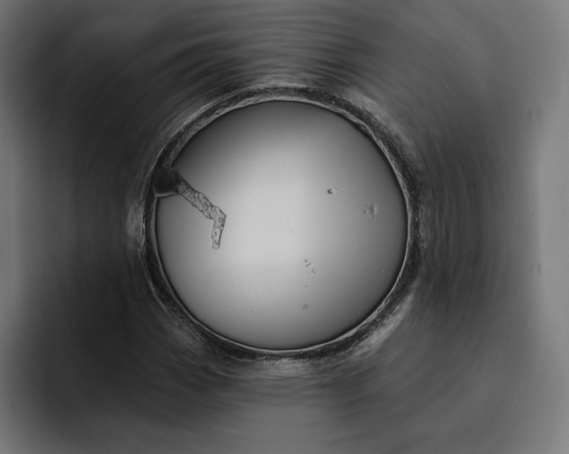 X0000093131113200710101054