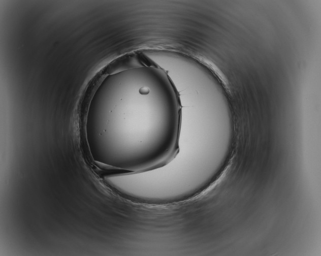 X0000093131114200710101054