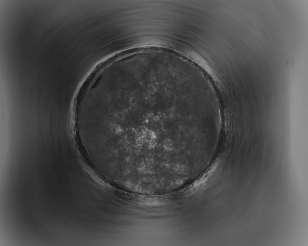 X0000093131116200710101054