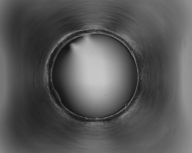 X0000093131118200710101054