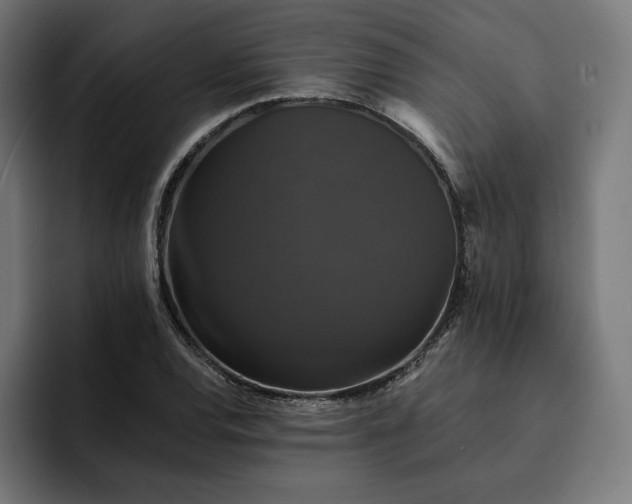 X0000093131120200710101054