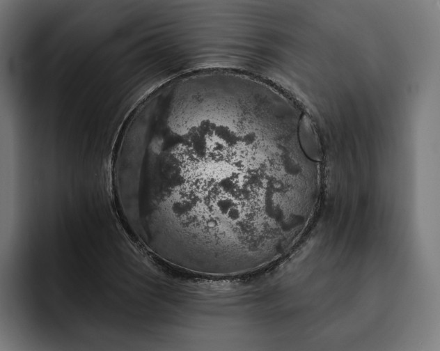 X0000093131121200710101054