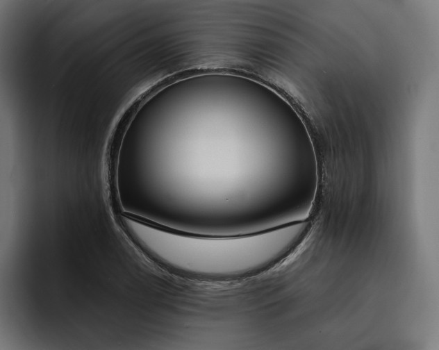 X0000093131122200710101054