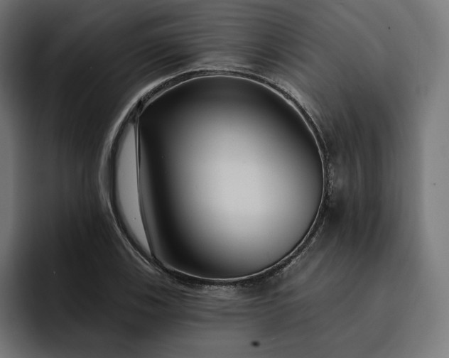 X0000093131123200710101054