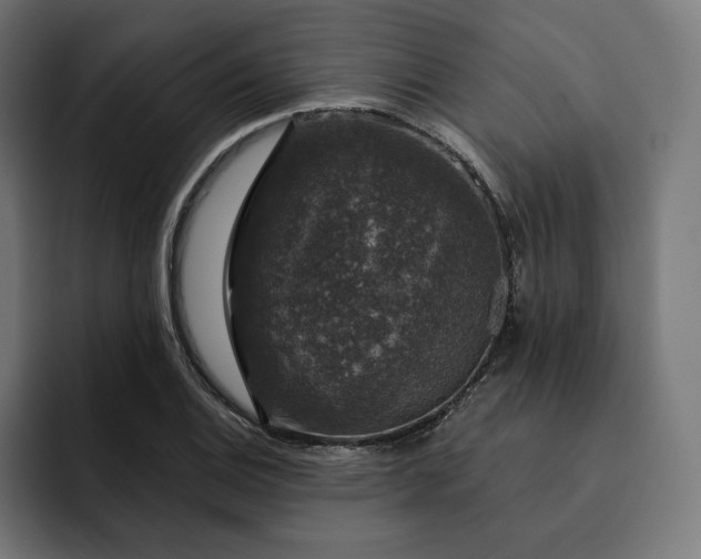 X0000093131124200710101054