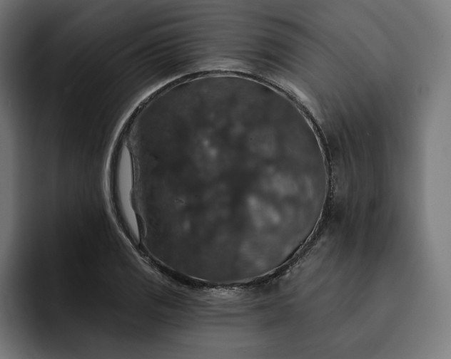 X0000093131125200710101054