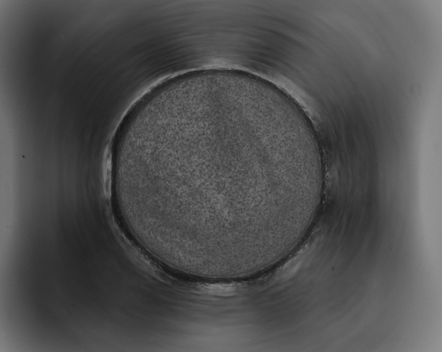 X0000093131126200710101054