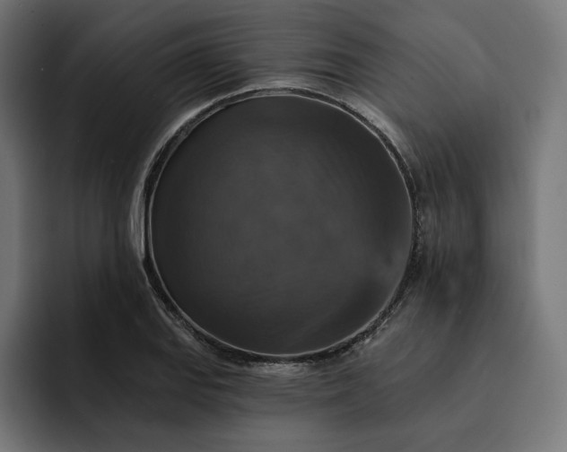 X0000093131127200710101054