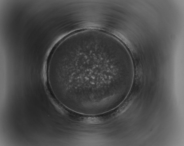 X0000093131128200710101054