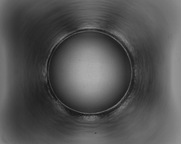 X0000093131129200710101054