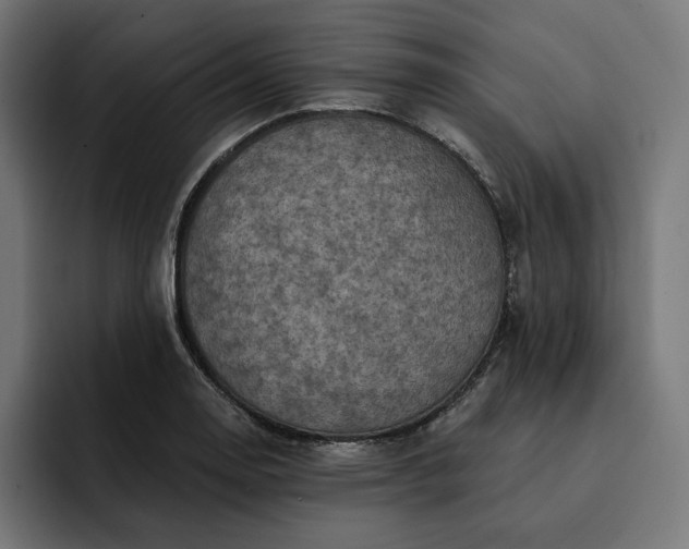 X0000093131130200710101054