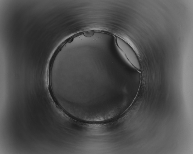 X0000093131132200710101054