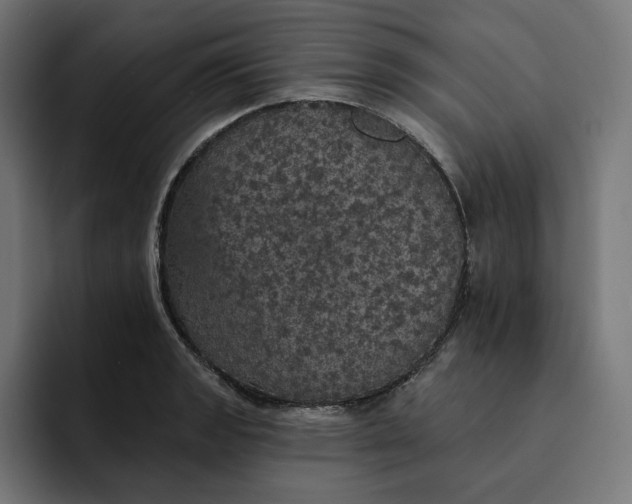 X0000093131133200710101054