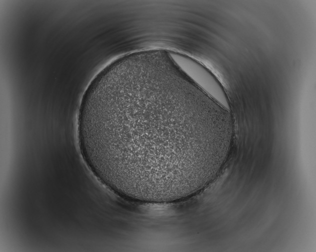 X0000093131134200710101054