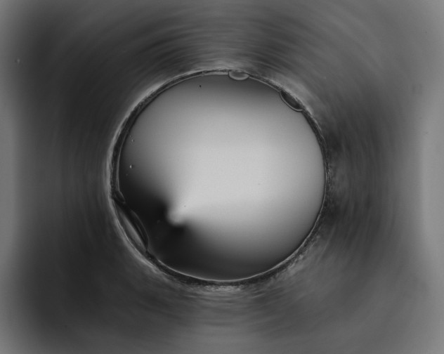 X0000093131135200710101054