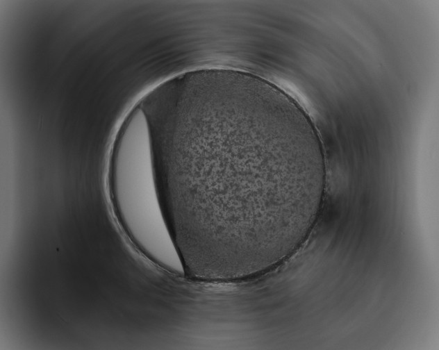 X0000093131136200710101054