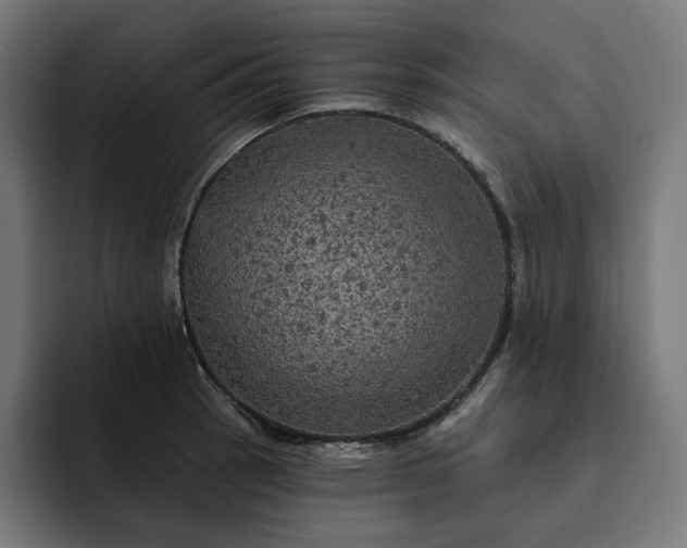 X0000093131137200710101054