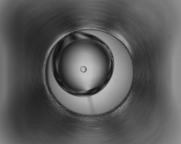 X0000093131138200710101054