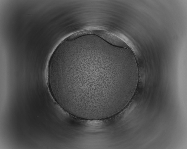 X0000093131140200710101054