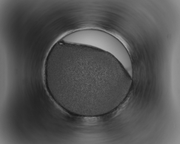 X0000093131142200710101054