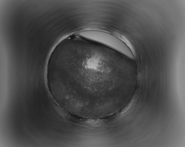 X0000093131146200710101054