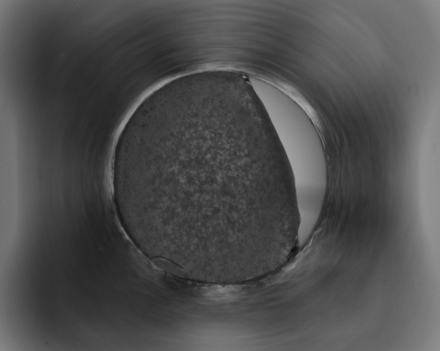 X0000093131148200710101054