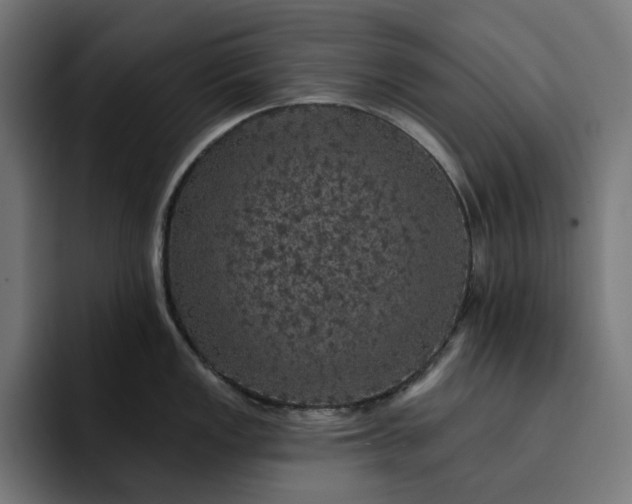 X0000093131149200710101054