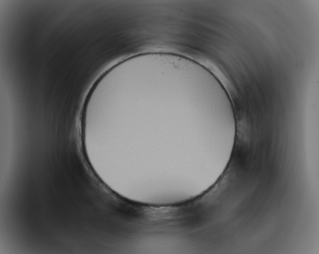 X0000093131150200710101054