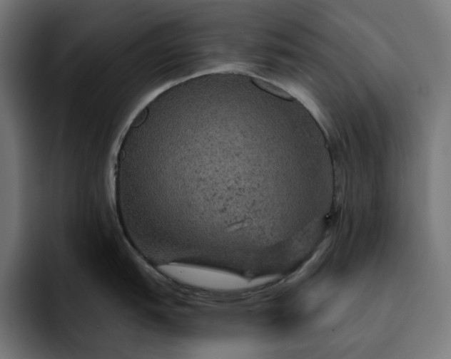 X0000093131151200710101054