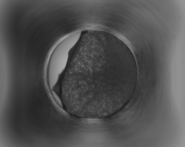 X0000093131152200710101054