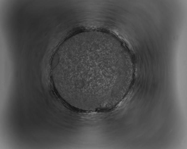 X0000093131153200710101054